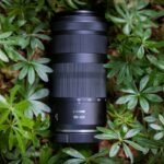 Canon RF 100-400 mm F5,6-8 IS USM - Imagen 4