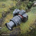Sony 20-70 mm F4 Premium G FE - Imagen 4
