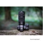 Canon RF 100-400 mm F5,6-8 IS USM - Imagen 6