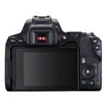 Canon EOS 250D (Black) + EF-S 18-55mm IS STM (Canon 3454C002) - Imagen 7